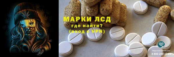 гашик Нея