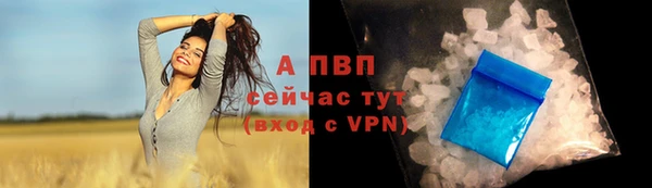 стафф Абаза