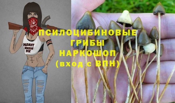 стафф Абаза