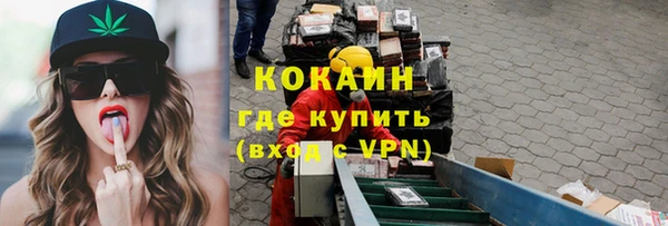 гашик Нея