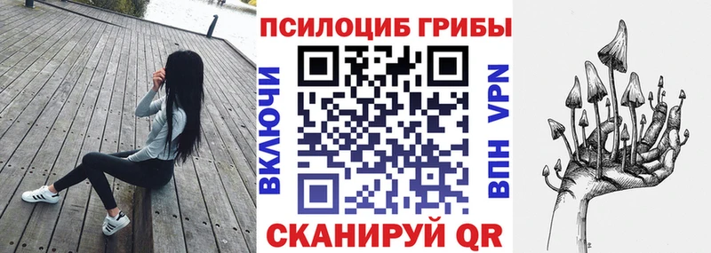 купить наркотики сайты  Нижняя Тура  Галлюциногенные грибы мухоморы 